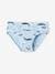 Pack of 7 Whale Briefs in Stretch Organic Cotton for Boys sky blue 