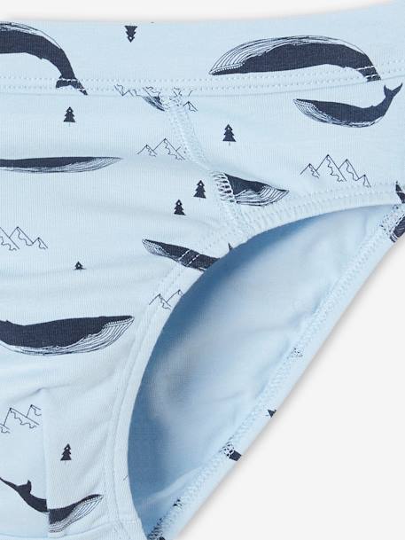 Pack of 7 Whale Briefs in Stretch Organic Cotton for Boys sky blue 