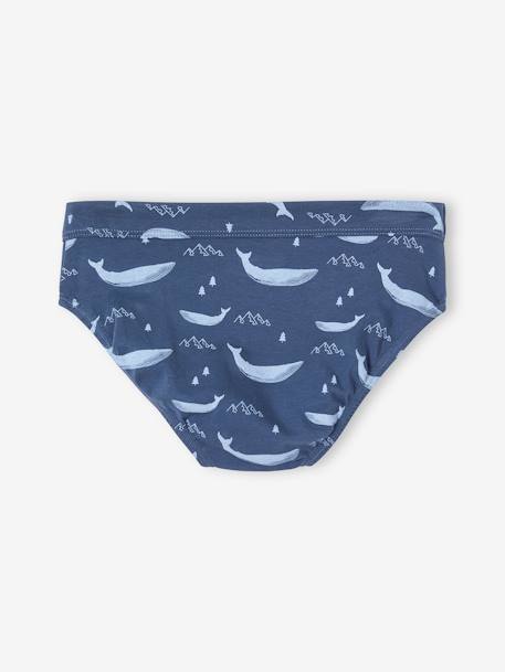 Pack of 7 Whale Briefs in Stretch Organic Cotton for Boys sky blue 