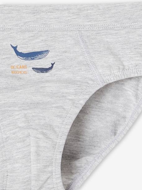 Pack of 7 Whale Briefs in Stretch Organic Cotton for Boys sky blue 