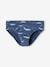 Pack of 7 Whale Briefs in Stretch Organic Cotton for Boys sky blue 