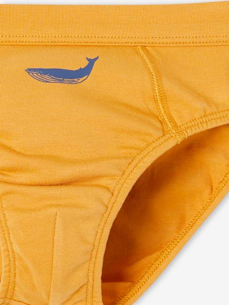 Pack of 7 Whale Briefs in Stretch Organic Cotton for Boys sky blue 