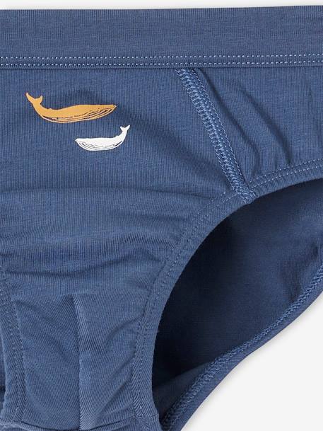 Pack of 7 Whale Briefs in Stretch Organic Cotton for Boys sky blue 