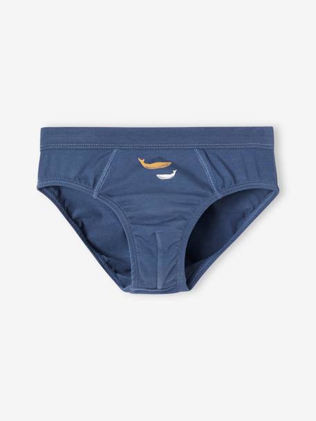 Pack of 7 Whale Briefs in Stretch Organic Cotton for Boys sky blue 