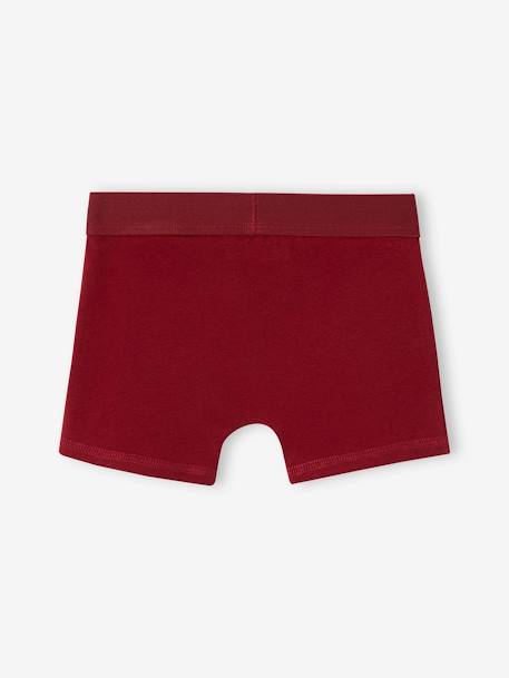 Pack of 3 Harry Potter® Boxer Shorts for Children bordeaux red 