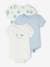 Set of 3 Progressive Bodysuits in Organic Cotton, for Babies sky blue 