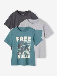 Boys-Tops-Pack of 3 Assorted T-Shirts for Boys