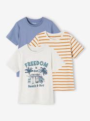 Pack of 3 Assorted T-Shirts for Boys