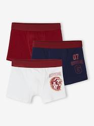 Boys-Pack of 3 Harry Potter® Boxer Shorts for Children