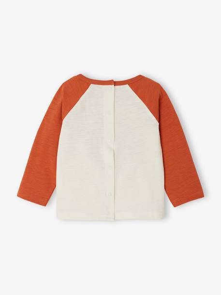 Long Sleeve Colourblock Top for Babies rust 