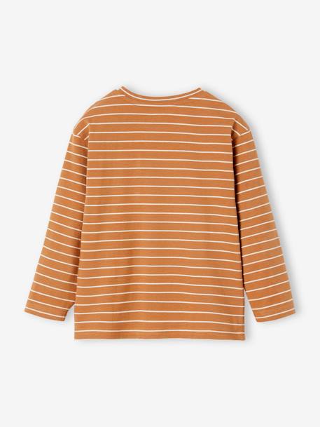 Striped T-Shirt for Boys pecan nut+slate blue 