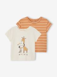 Baby-T-shirts & Roll Neck T-Shirts-T-Shirts-Pack of 2 Basic T-Shirts for Babies