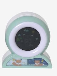 Toys-Educational Games-Read & Count-Educational Alarm Clock & Night Light