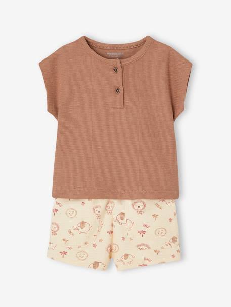 Combo: Grandad-Style T-Shirt + Shorts for Babies mocha 