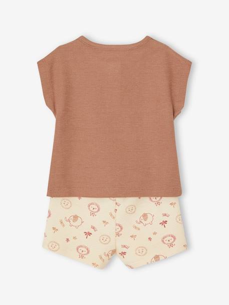 Combo: Grandad-Style T-Shirt + Shorts for Babies mocha 