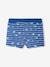 Whale Swim Shorts for Baby Boys indigo 