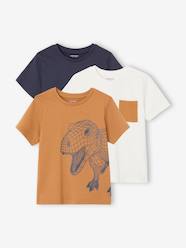 Boys-Tops-Pack of 3 Assorted T-Shirts for Boys