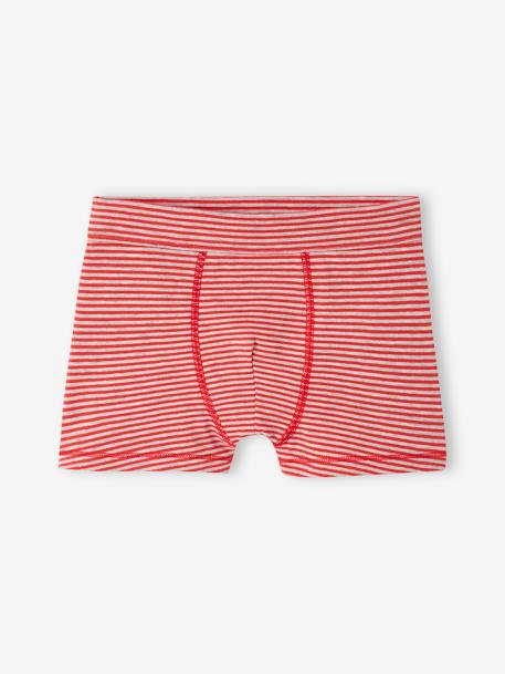 Pack of 7 'Bear' Stretch Boxers in Organic Cotton for Boys royal blue 