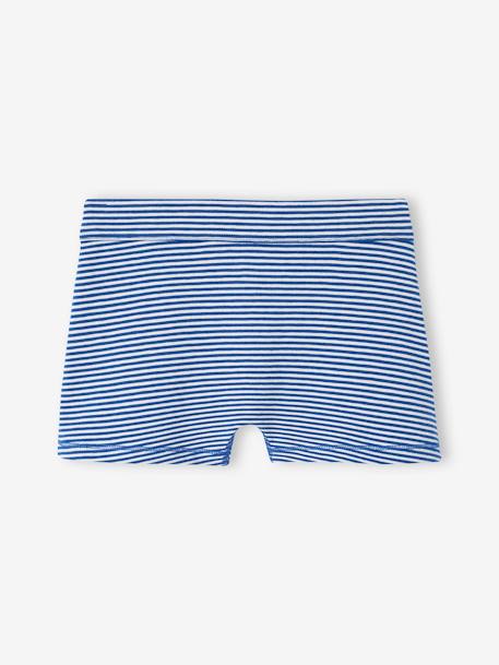 Pack of 7 'Bear' Stretch Boxers in Organic Cotton for Boys royal blue 