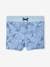 Leafy Swim Shorts for Boys sky blue 