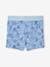 Leafy Swim Shorts for Boys sky blue 