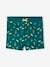 Pineapple Swim Shorts for Boys emerald green 