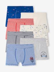 Pack of 7 "Bear" Stretch Boxers in Organic Cotton for Boys
