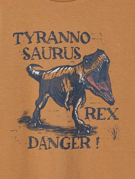 Dinosaur T-Shirt for Boys cappuccino+grey blue 