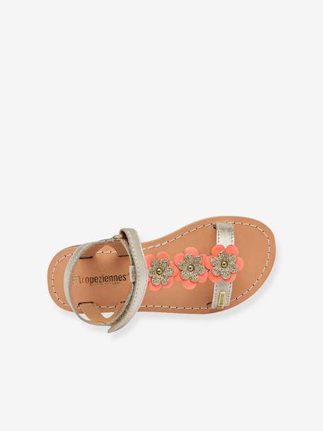 Hook-&-Loop Leather Sandals for Babies, Ibiscus by LES TROPEZIENNES® PAR M. BELARBI coral+silver 