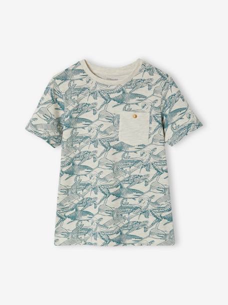 T-Shirt with Graphic Motifs for Boys anthracite+lichen+marl white 