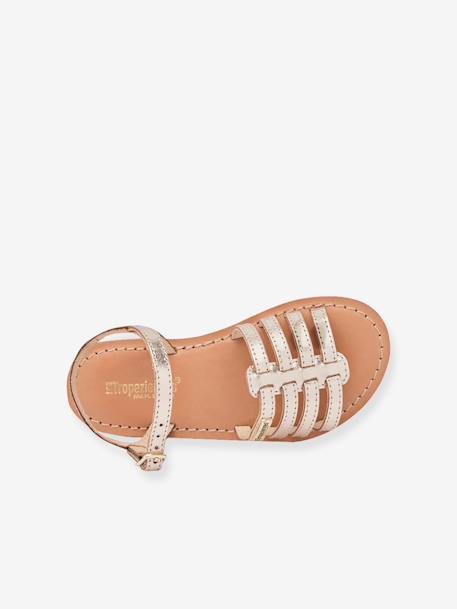 Sandals, Berlioz by LES TROPEZIENNES® fuchsia+golden beige 