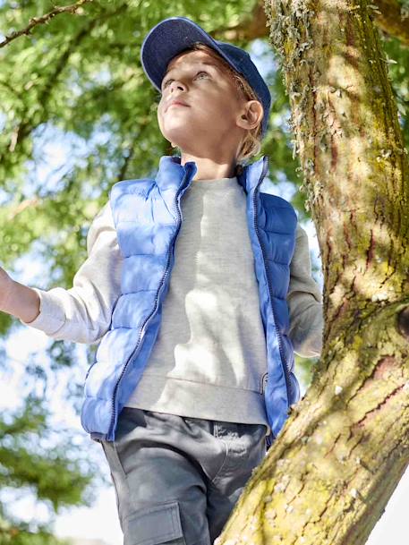 3-in-1 Parka with Detachable Bodywarmer, Midseason, for Boys navy blue+sage green 