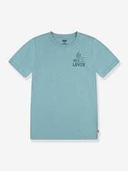 Boys-Tops-T-Shirts-Graphic T-Shirt by Levi's® for Boys