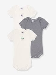 Baby-Bodysuits & Sleepsuits-Pack of 3 Short Sleeve Bodysuits by PETIT BATEAU