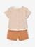 3-Piece Combo: T-Shirt, Shorts & Matching Hat for Newborn Babies cappuccino 