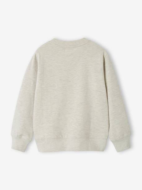 Basics Sweatshirt with Graphic Motif for Boys grey blue+marl beige+pistachio 