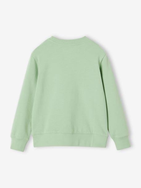 Basics Sweatshirt with Graphic Motif for Boys grey blue+pistachio 