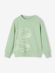 Boys-Cardigans, Jumpers & Sweatshirts-Sweatshirts & Hoodies-Basics Sweatshirt with Graphic Motif for Boys