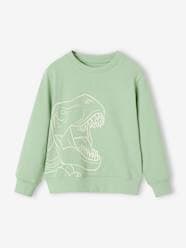 Boys-Cardigans, Jumpers & Sweatshirts-Basics Sweatshirt with Graphic Motif for Boys