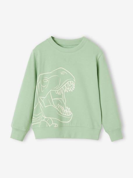 Basics Sweatshirt with Graphic Motif for Boys grey blue+marl beige+pistachio 