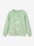 Basics Sweatshirt with Graphic Motif for Boys pistachio 