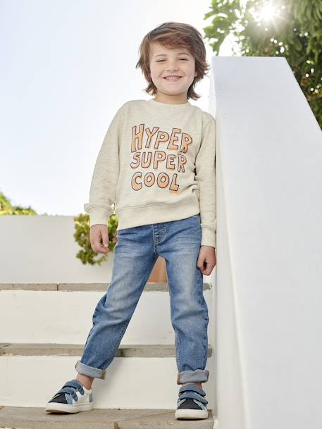 Basics Sweatshirt with Graphic Motif for Boys grey blue+marl beige+pistachio 