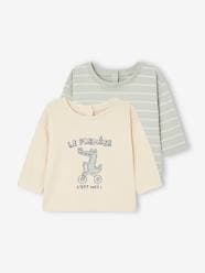 Baby-T-shirts & Roll Neck T-Shirts-T-Shirts-Pack of 2 Basic Tops for Babies