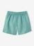 Pokemon® Microfibre Swim Shorts for Boys sage green 