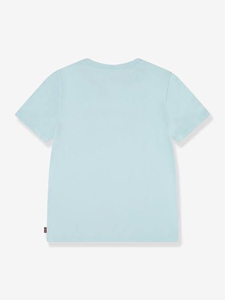 Batwing T-Shirt by Levi's® mint green 