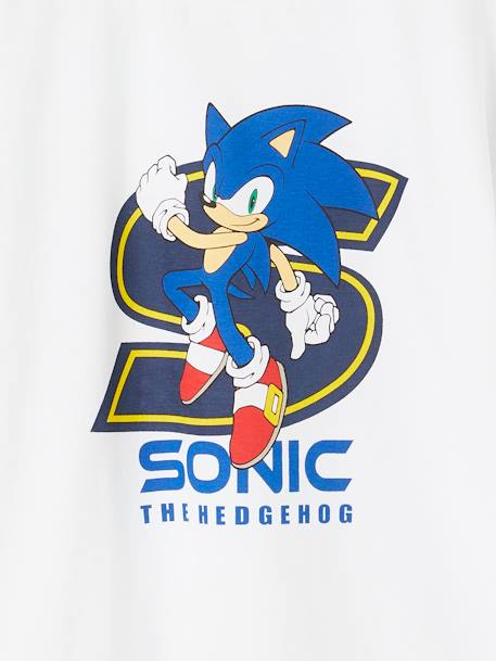 Sonic The Hedgehog Boys Boys' Briefs and Boxer Briefs Multipacks Available  in Sizes 4, 6, 8, 10, and 12 : : Clothing, Shoes & Accessories