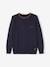 Fine Knit Colour Jumper for Boys BEIGE LIGHT MIXED COLOR+BLUE DARK SOLID WITH DESIGN 