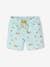 Printed Swim Shorts for Boys aqua green 