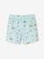 Printed Swim Shorts for Boys aqua green 