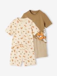 -Pack of 2 Tiger Pyjamas for Boys